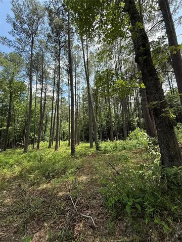 a big yard with lots of green space and trees