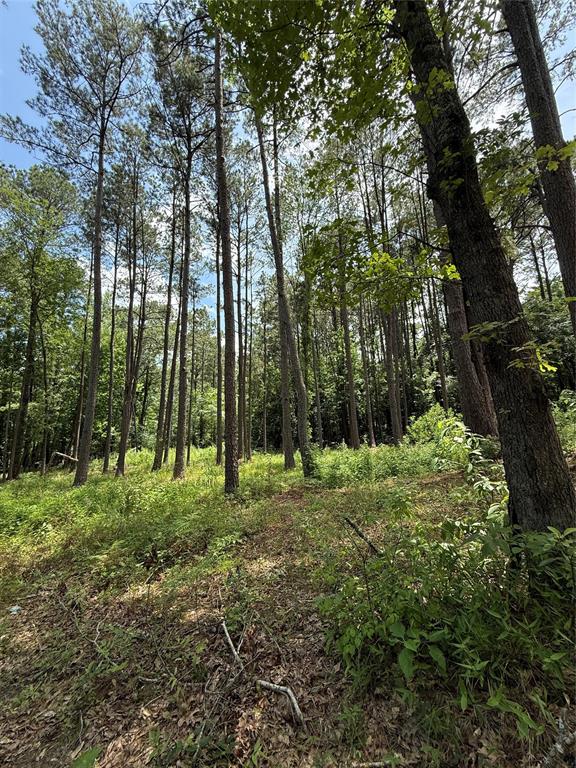 1332 Elysian Fields Marshall, TX 75672 - Photo 4 of 15 View of tree filled area