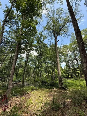 a view of a yard with large trees