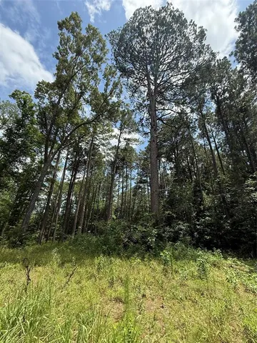 a view of outdoor space