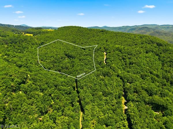 1187 Timber Ridge Road Millers Creek, NC 28651 - Photo 19 of 19