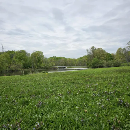 a view of a green field with grass