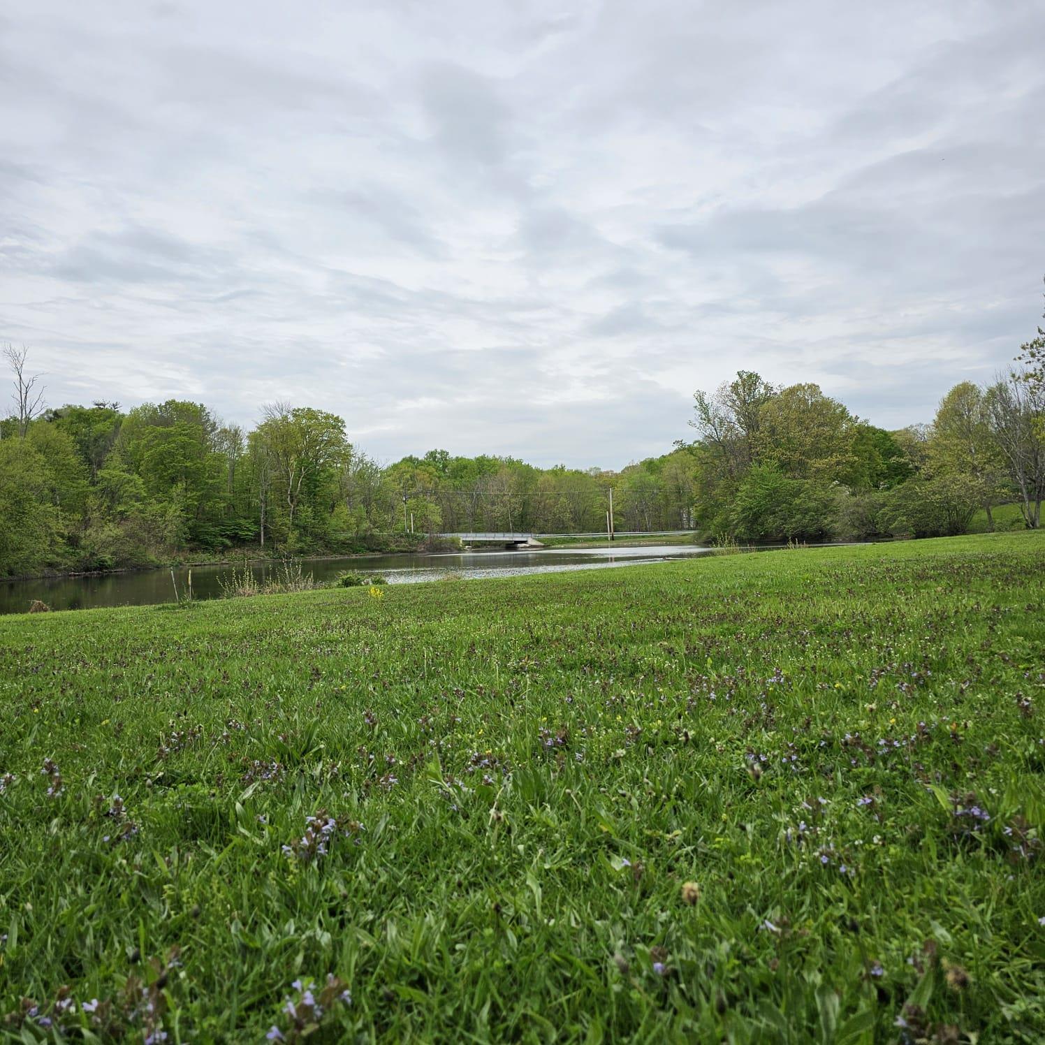 South Plank Road Slate Hill, NY 10973 - Photo 1 of 6 a view of a green field with grass