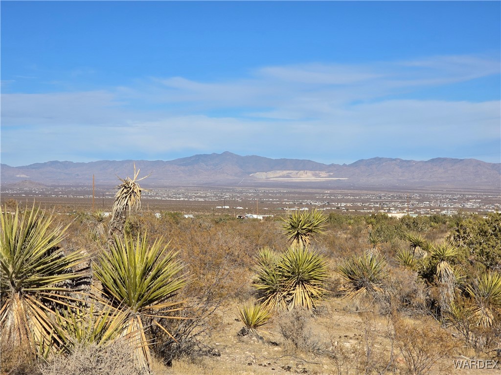 1630 Ganado Road Golden Valley, AZ 86413 - Photo 90 of 97 View