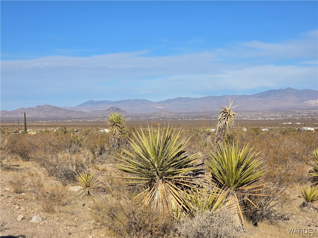 1630 Ganado Road Golden Valley, AZ 86413 - Photo 91 of 97 View