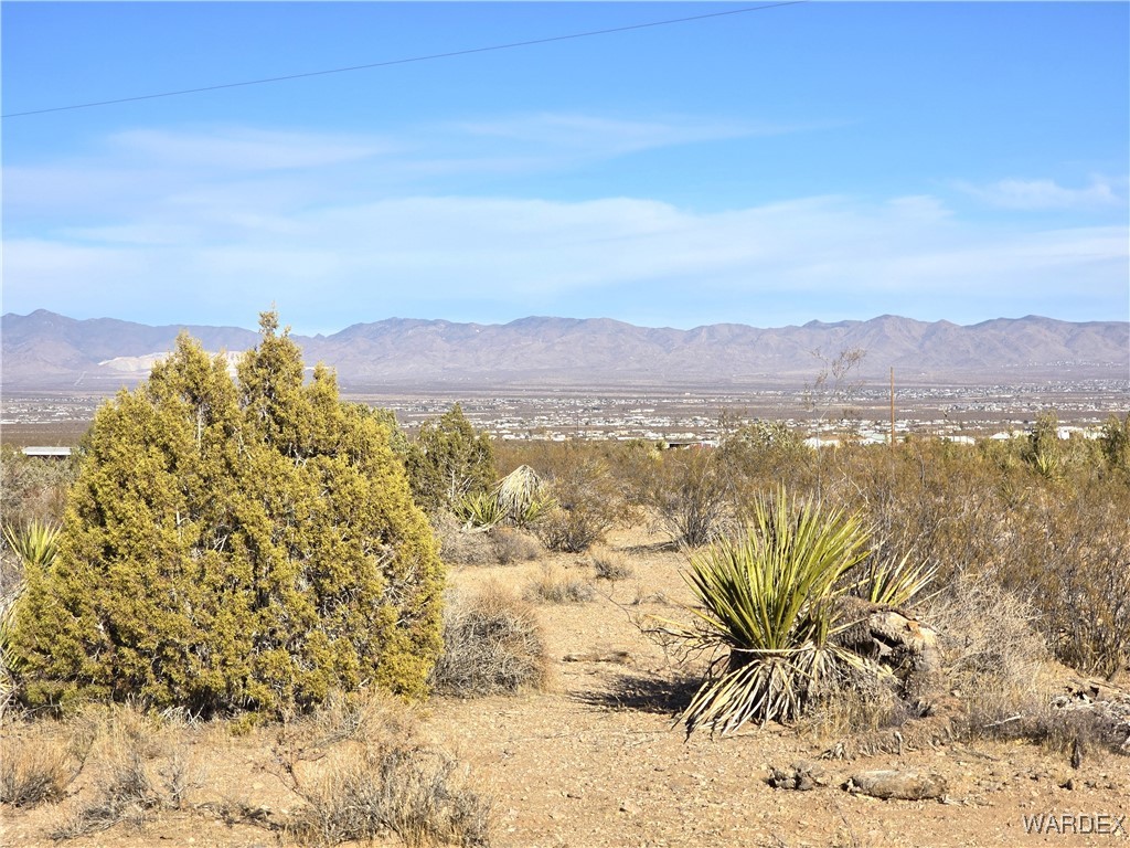 1630 Ganado Road Golden Valley, AZ 86413 - Photo 92 of 97 View