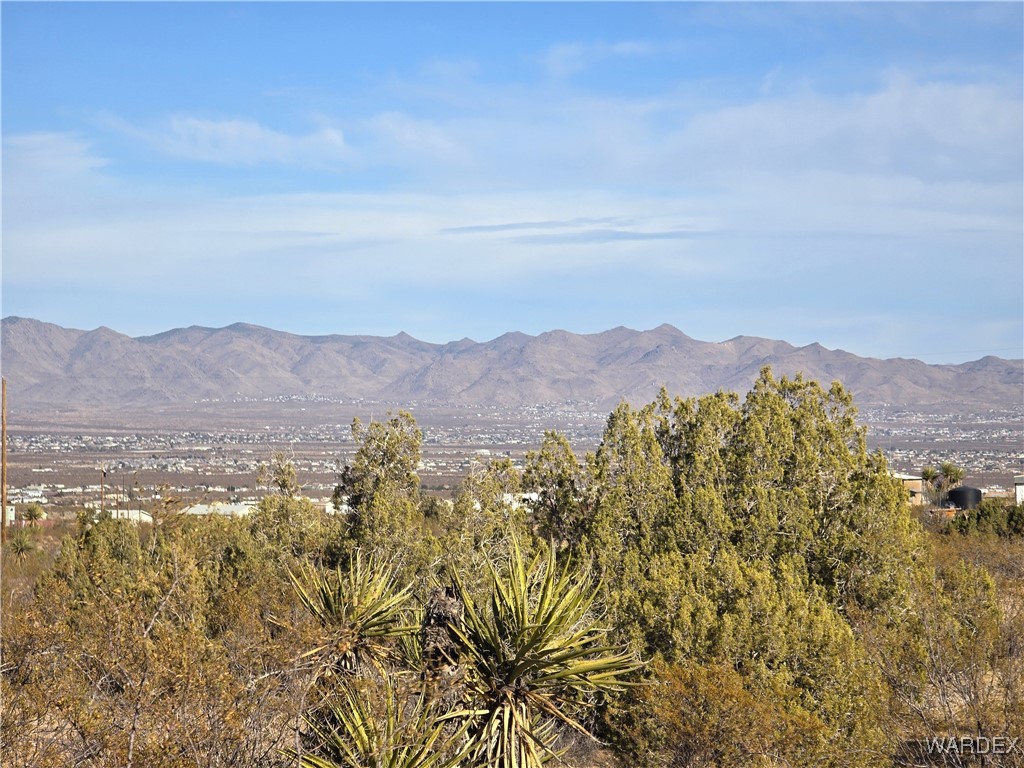 1630 Ganado Road Golden Valley, AZ 86413 - Photo 95 of 97 View