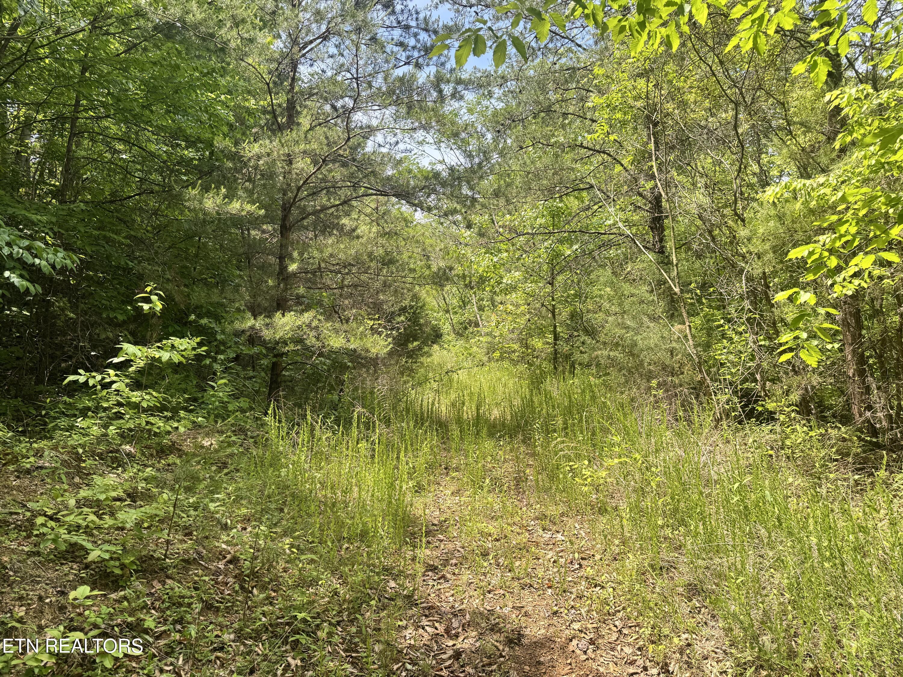 955 Rock Haven Road Bean Station, TN 37708 - Photo 16 of 23 Property 1