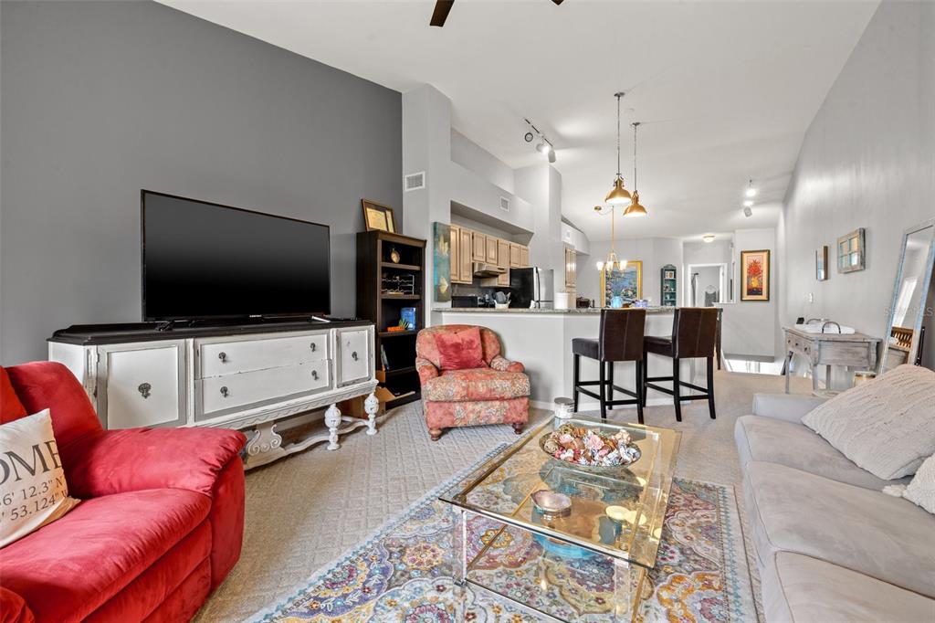 1039 Normandy Trace Road, Unit 1039 Tampa, FL 33602 - Photo 5 of 19 a living room with furniture and a flat screen tv