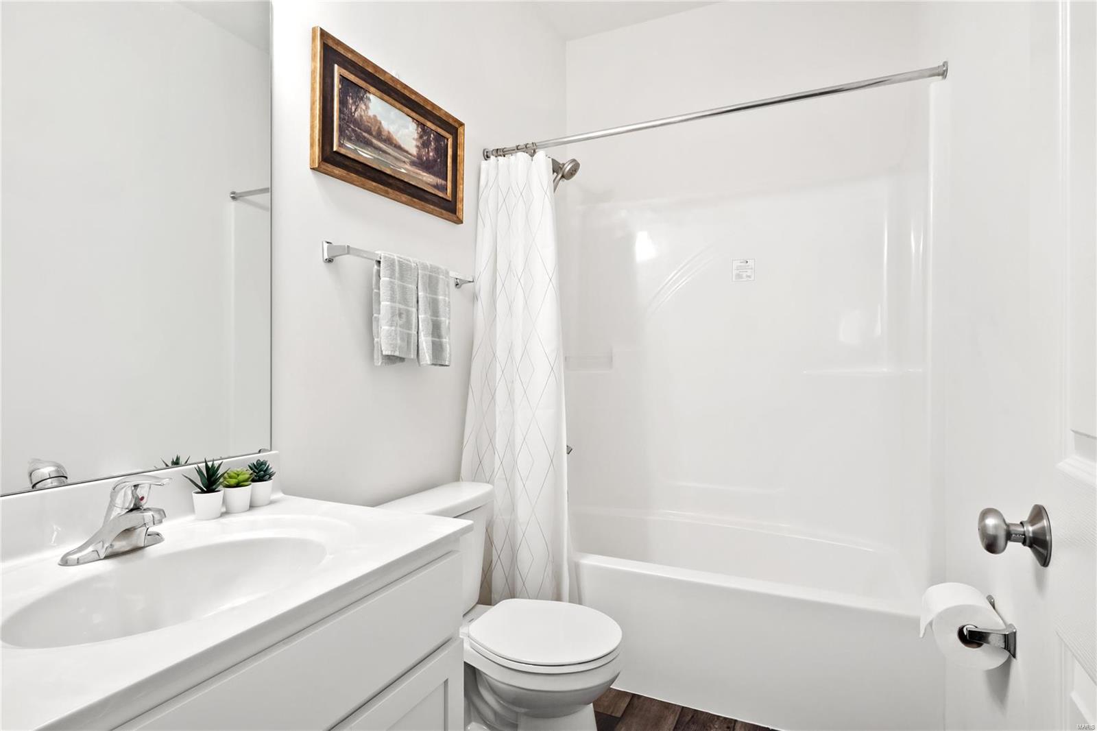 136 Front Lake Lane St. Charles, MO 63301 - Photo 17 of 28