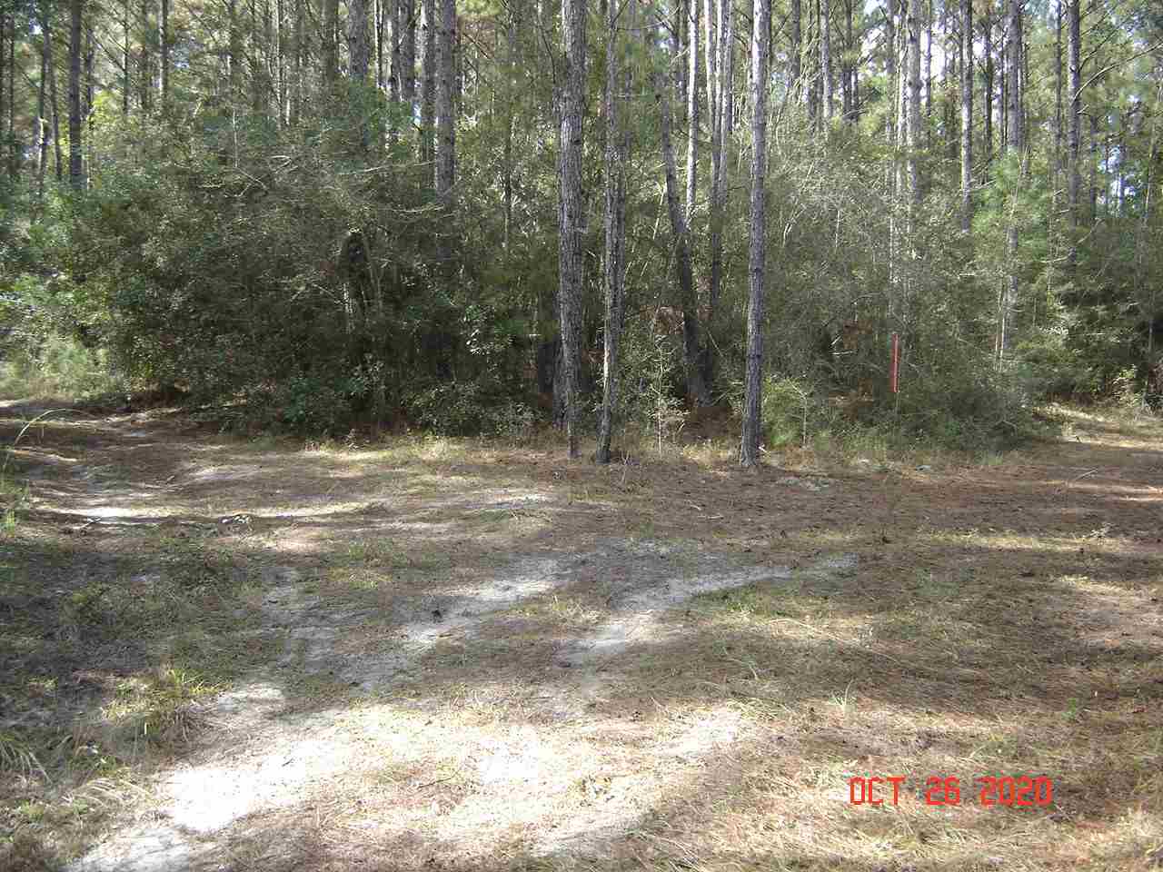 48-acres Or - Brooklyn Road Andalusia, AL 36421 - Photo 5 of 8 Gallery Image 5
