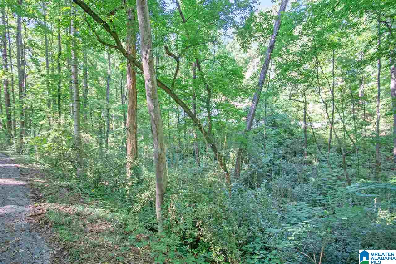 200 Greenhill Road Sylacauga, AL 35150 - Photo 13 of 47