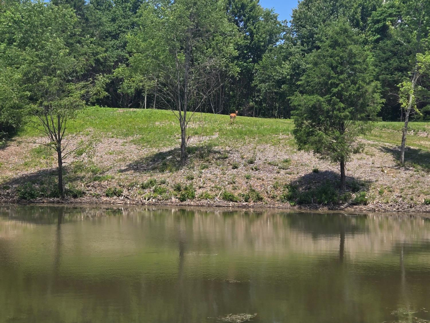 3 Stacy Road Metamora, IN 47030 - Photo 5 of 10