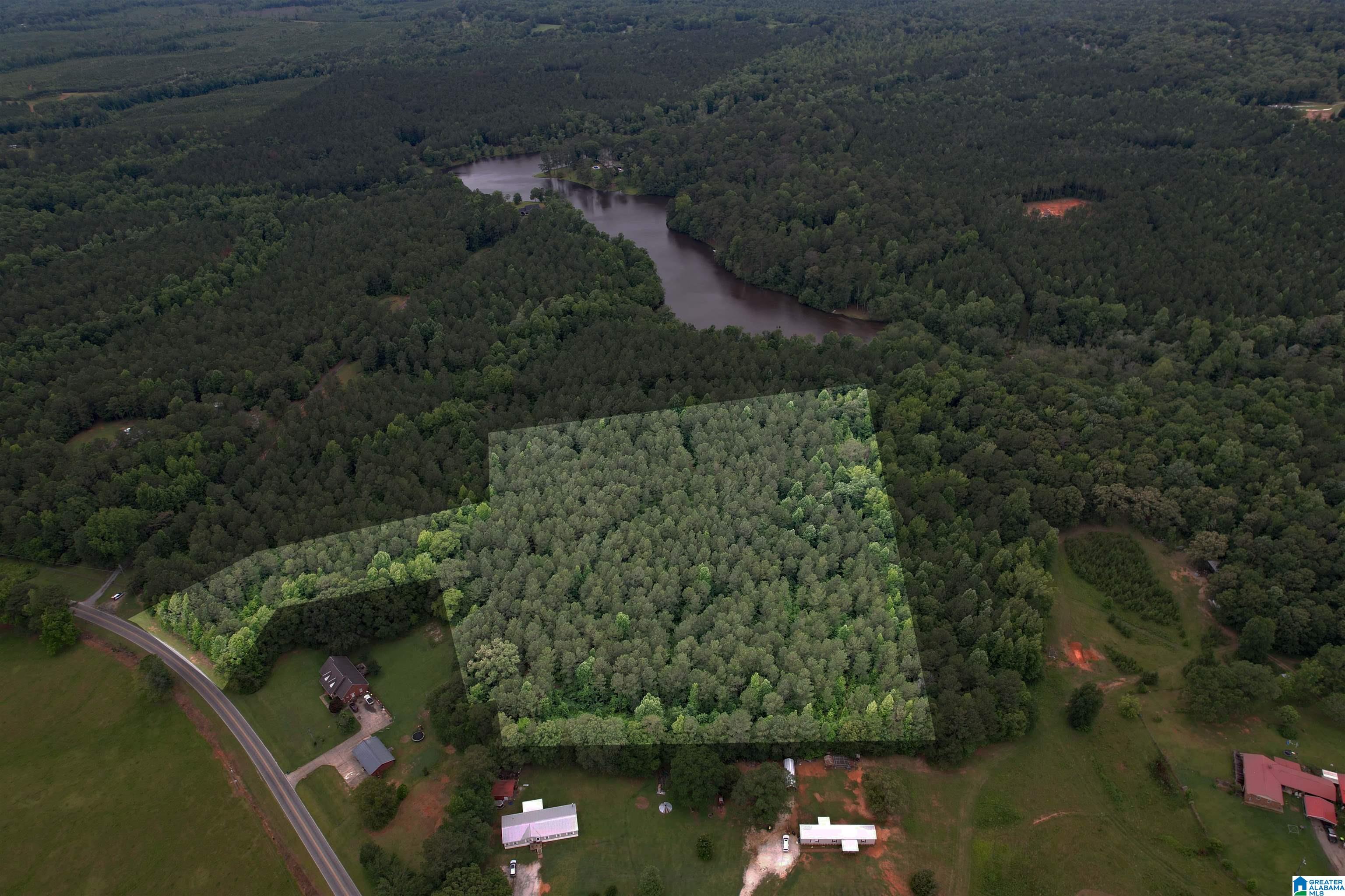 0 Houston Road Sylacauga, AL 35151 - Photo 10 of 32