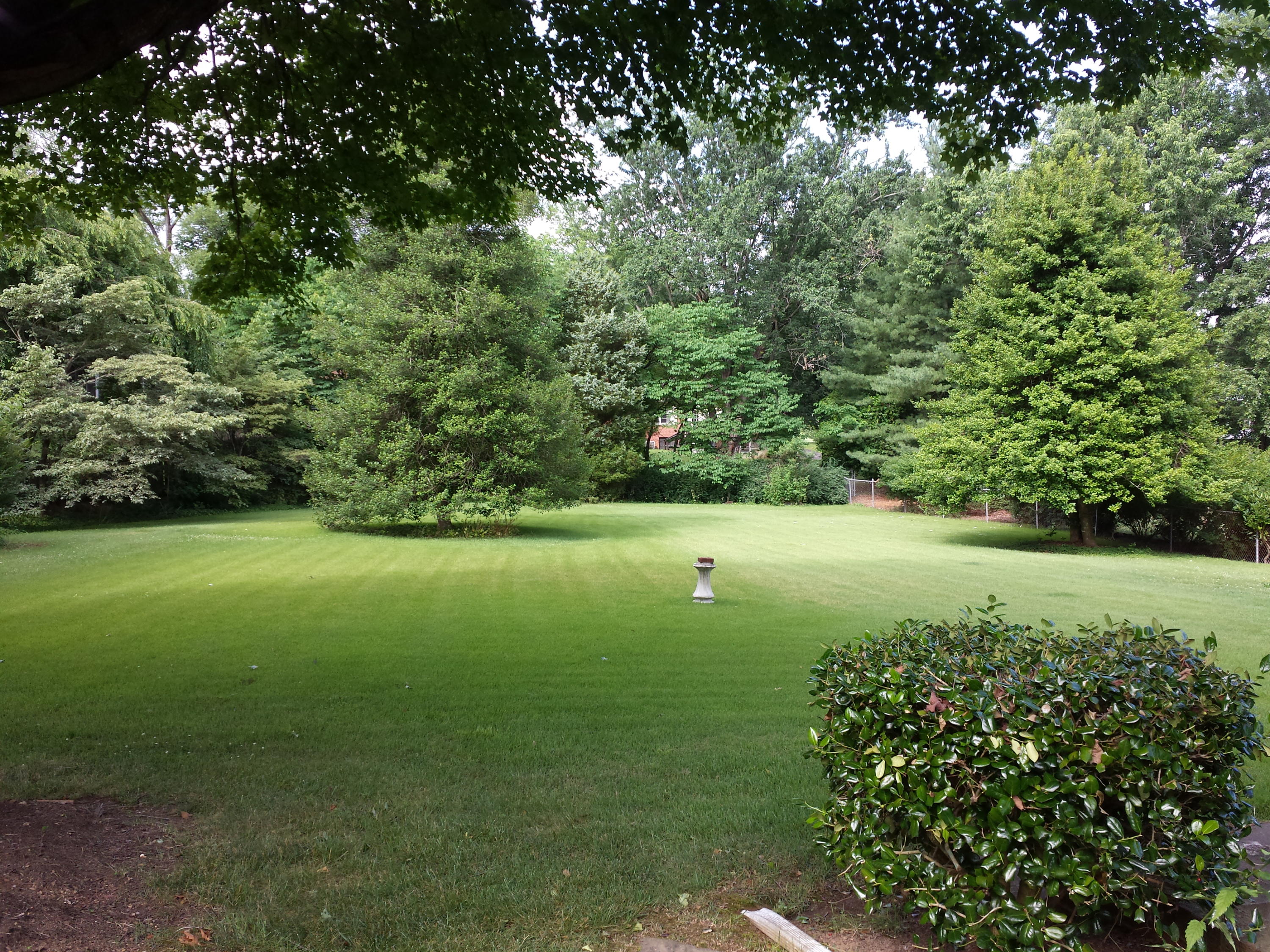 2033 Darlington Road Southwest Roanoke, VA 24018 - Photo 24 of 26 20150622_093611