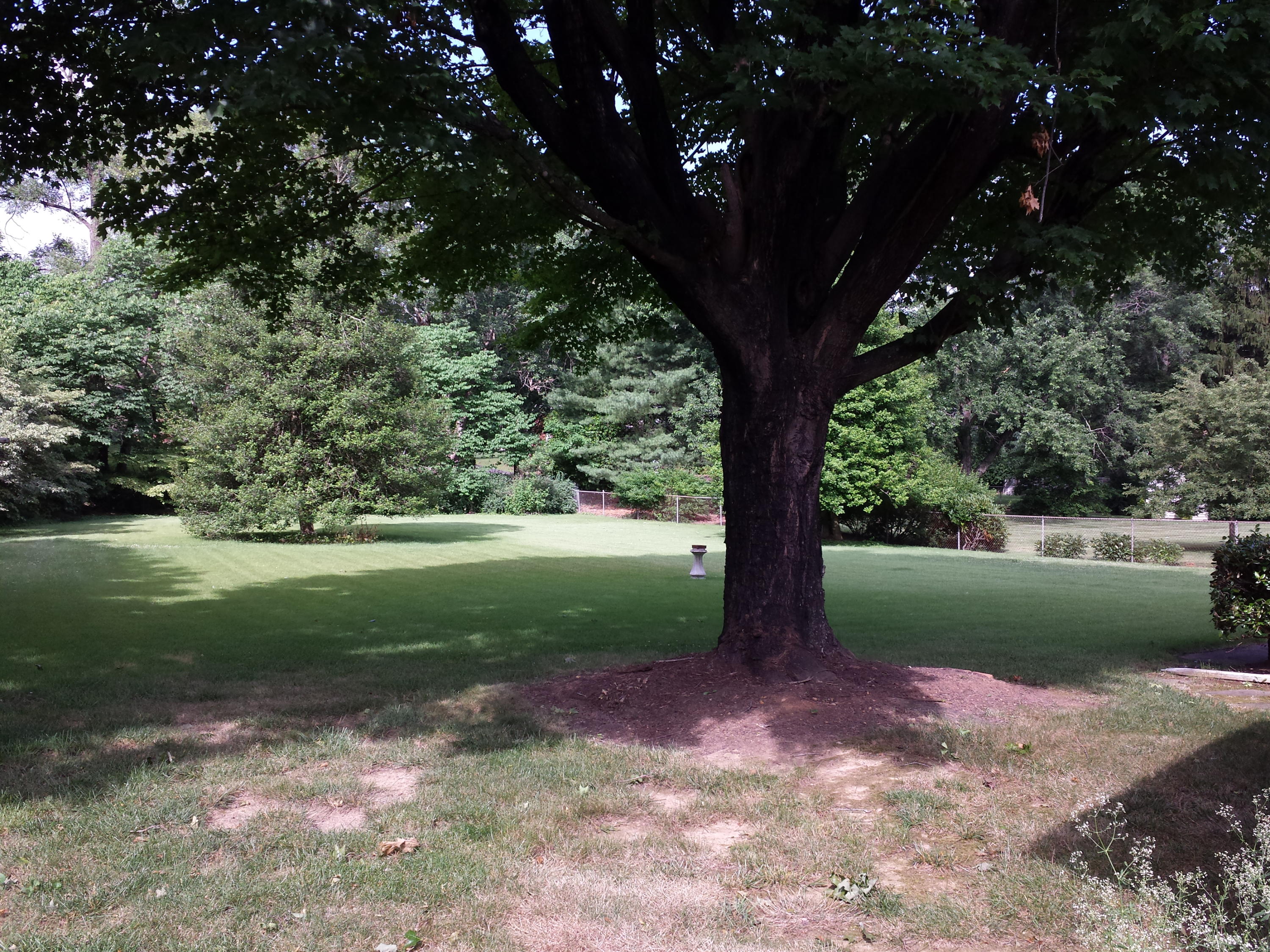 2033 Darlington Road Southwest Roanoke, VA 24018 - Photo 25 of 26 20150622_093637