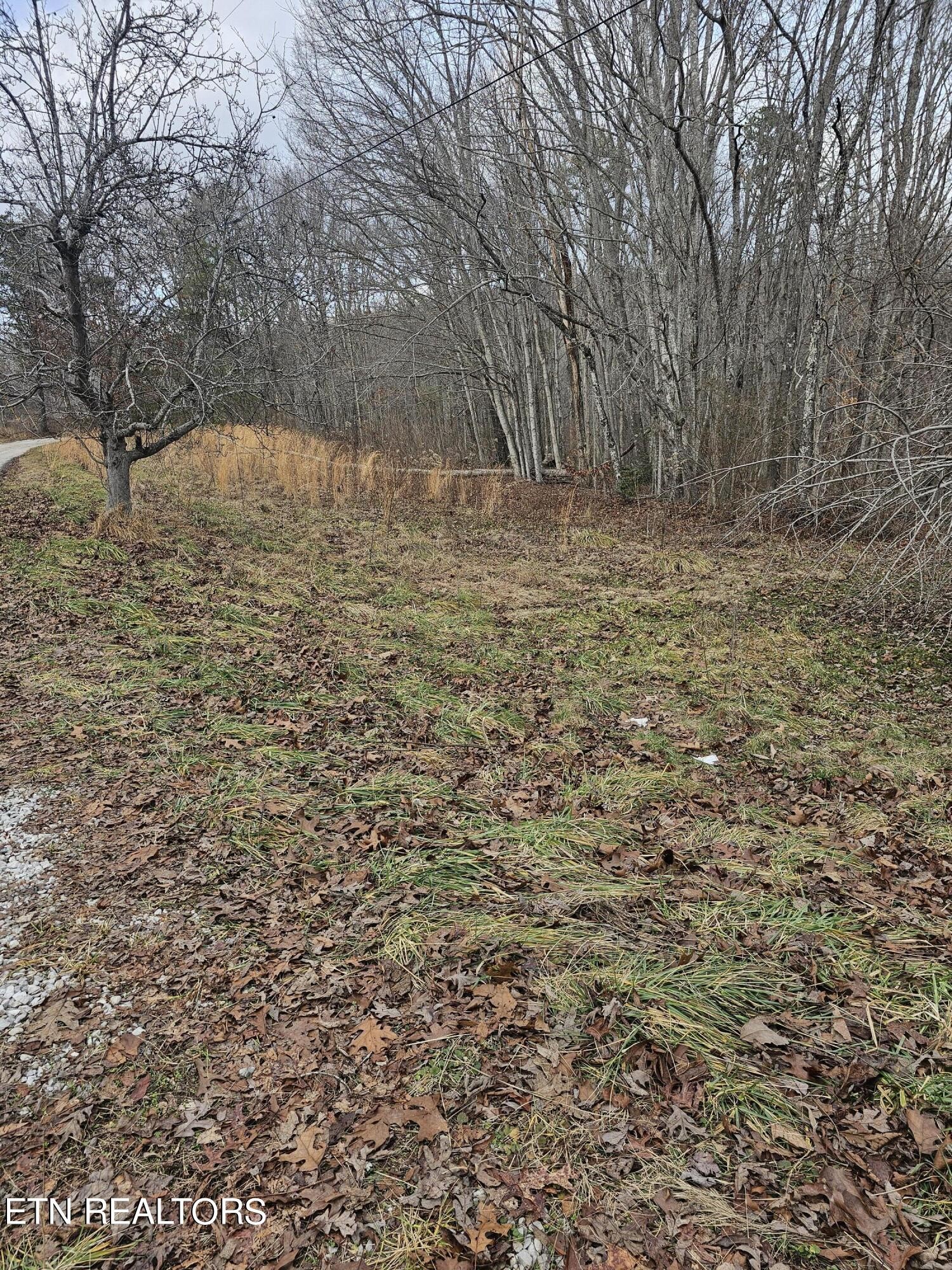 1 Obis Bowling Road Robbins, TN 37852 - Photo 3 of 6 Gallery Image 3