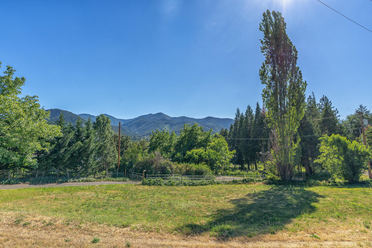 7891 Rapp Lane Talent, OR 97540 - Photo 53 of 88 a view of a field with a tree in the background