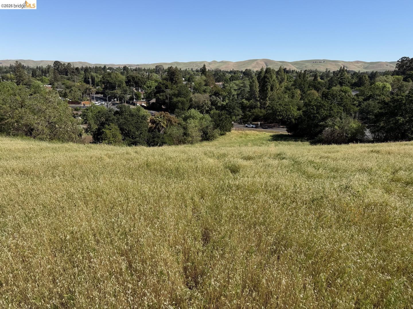 0 Cowell Road Concord, CA 94518 - Photo 2 of 12 Expansive hillside property featuring natural golden grasses and a backdrop of established trees