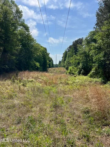 $380,000 | 49 Hwy D Lo Ms 39062, Braxton, MS 39044