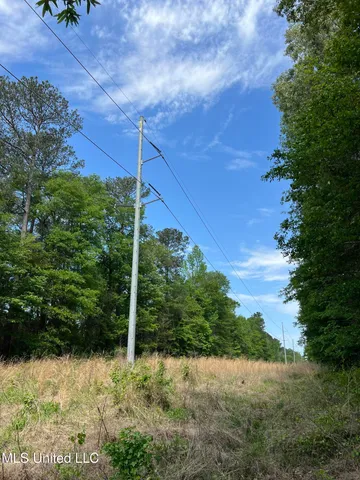 $380,000 | 49 Hwy D Lo Ms 39062, Braxton, MS 39044