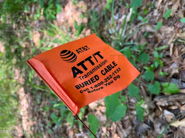 $380,000 | 49 Hwy D Lo Ms 39062, Braxton, MS 39044