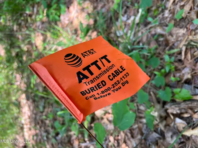 $380,000 | 49 Hwy D Lo Ms 39062, Braxton, MS 39044