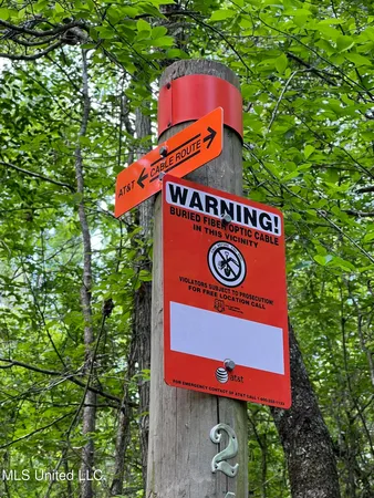 $380,000 | 49 Hwy D Lo Ms 39062, Braxton, MS 39044