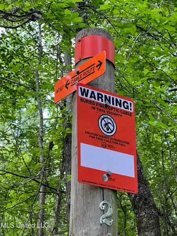 $380,000 | 49 Hwy D Lo Ms 39062, Braxton, MS 39044