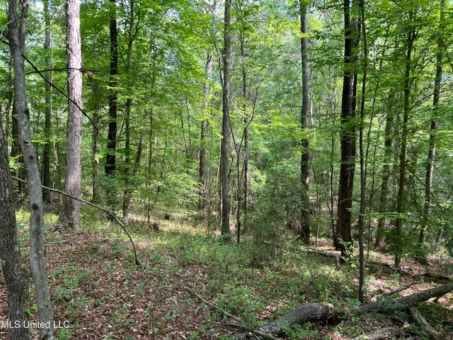 $380,000 | 49 Hwy D Lo Ms 39062, Braxton, MS 39044