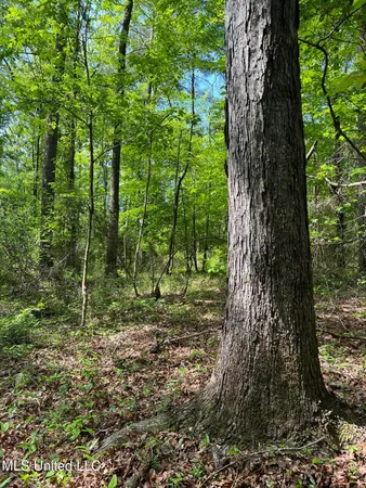 $380,000 | 49 Hwy D Lo Ms 39062, Braxton, MS 39044