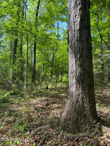 $380,000 | 49 Hwy D Lo Ms 39062, Braxton, MS 39044