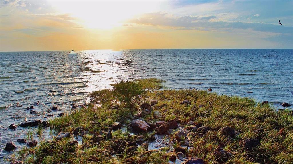 9427 Lakeview Court Spring Hill, FL 34608 - Photo 41 of 41