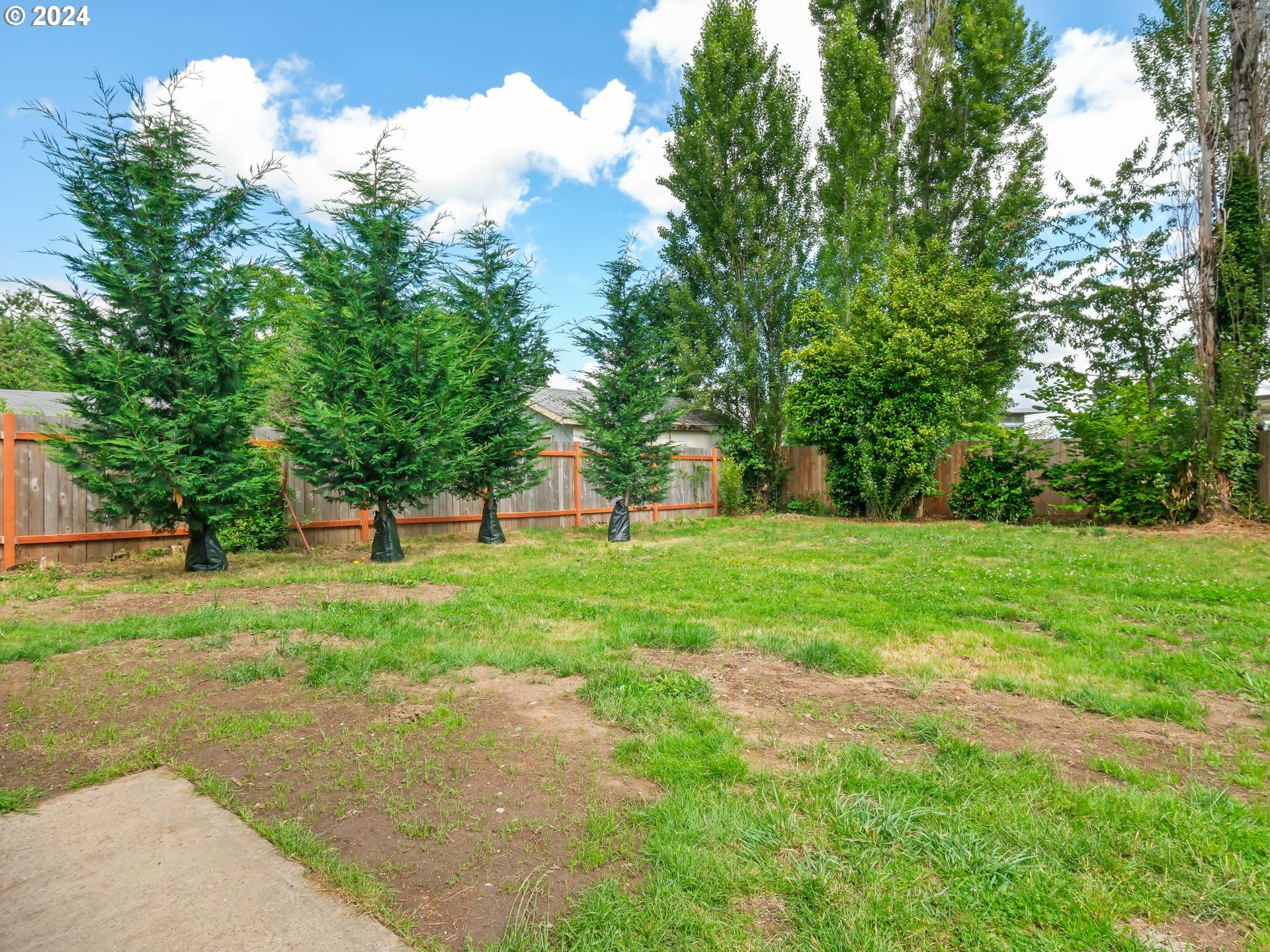 1903 14th Street Oregon City, OR 97045 - Photo 33 of 34 a view of a park with large trees