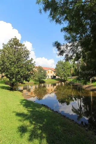 a view of a park with large trees