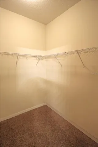 a view of a small yard