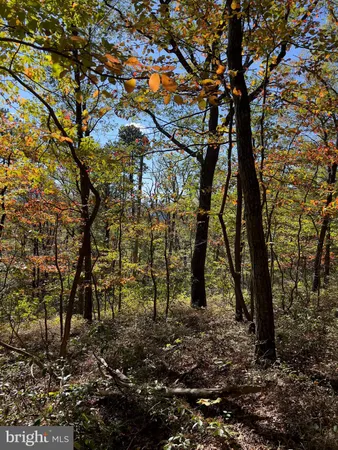 $12,900 | Lot 17 Fox Trail, Winchester, VA 22602