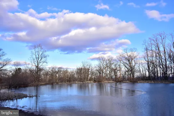 $12,900 | Lot 17 Fox Trail, Winchester, VA 22602