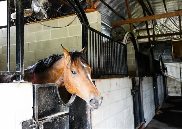 $2,495,000 | 312 East 233rd Street, Cleveland, MO 64734