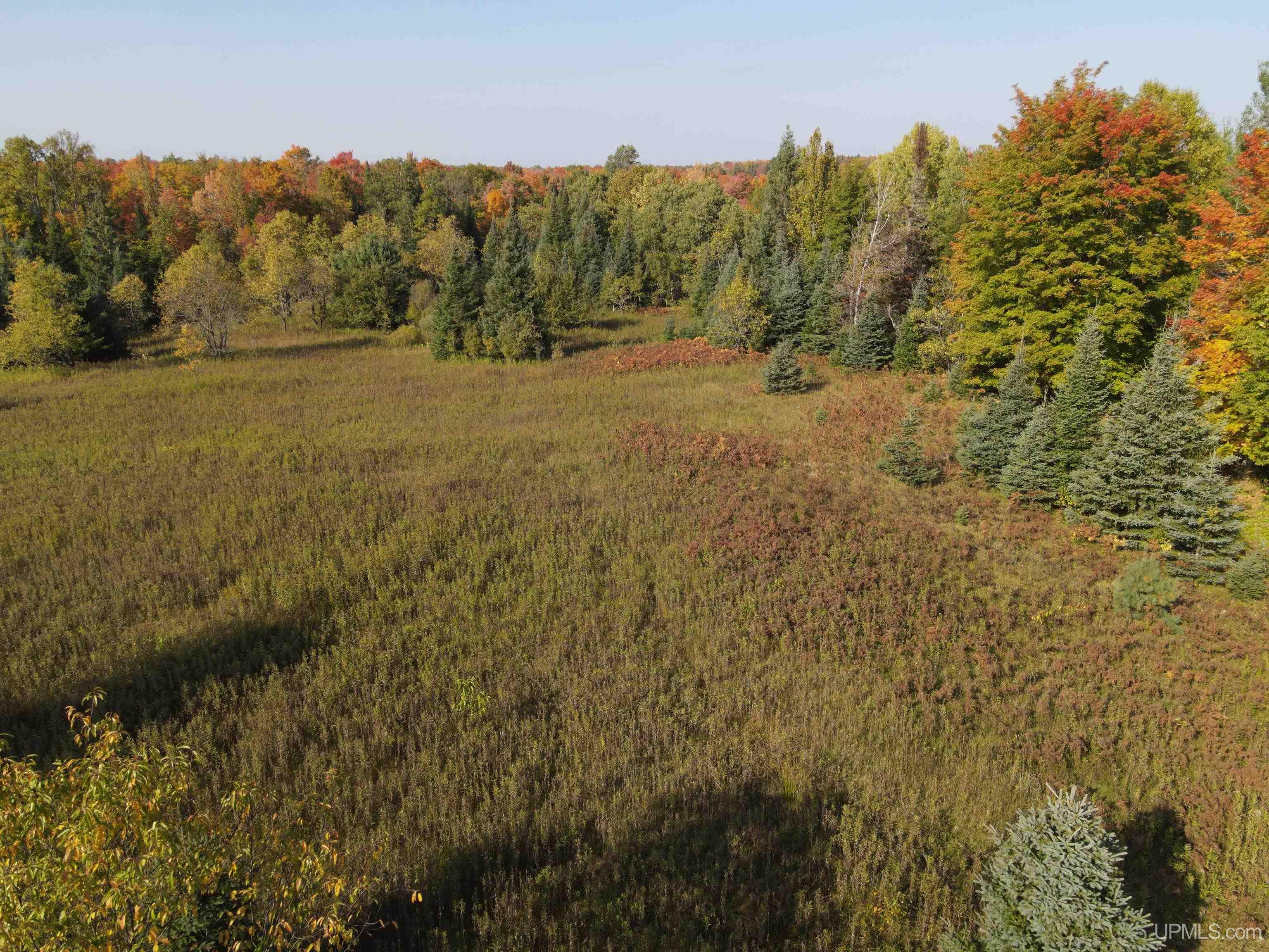 Tbd Newberry Road Nisula, MI 49952 - Photo 14 of 24 Gallery Image 14