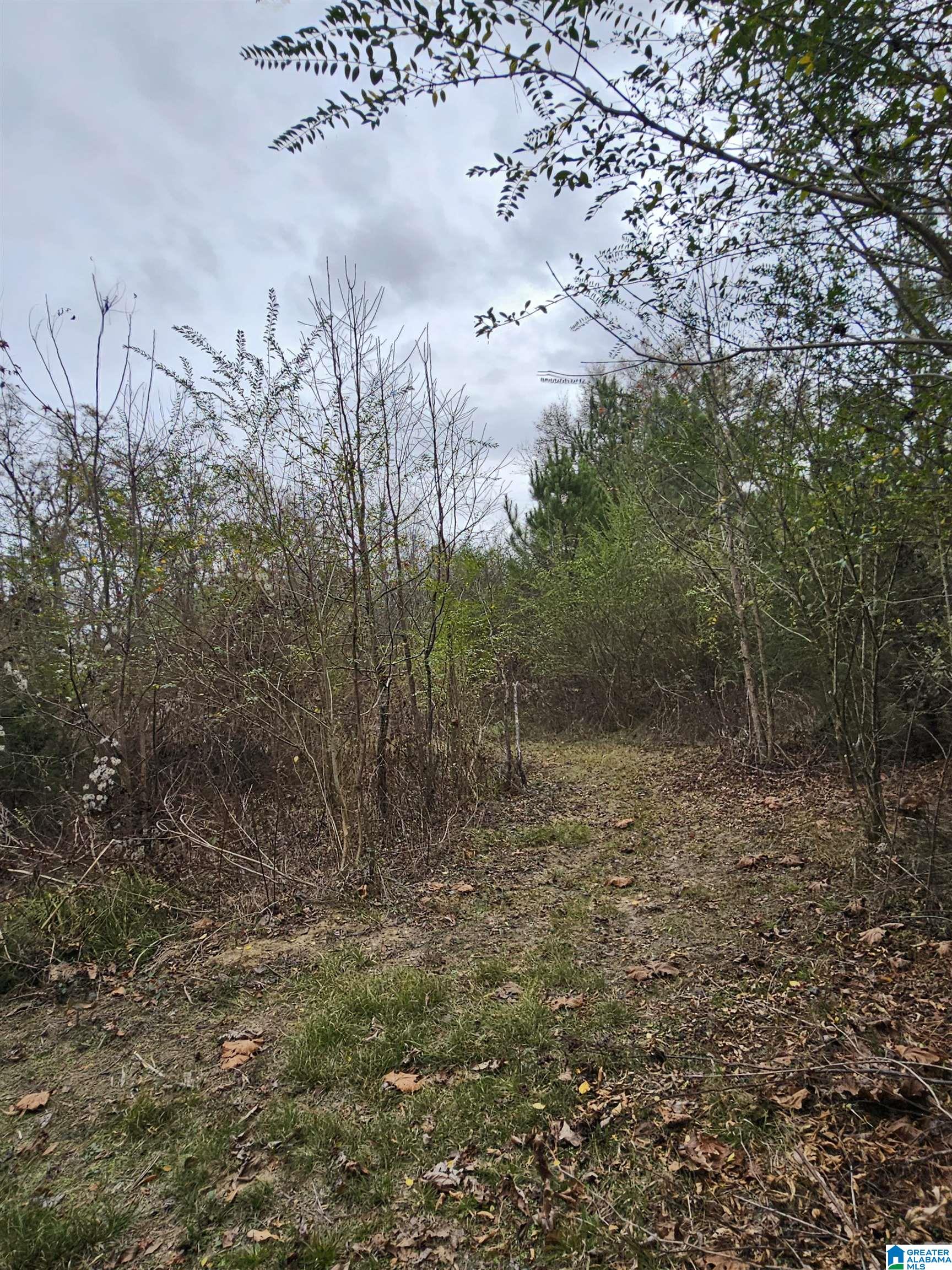 0 County Road 724 Calera, AL 35040 - Photo 13 of 18