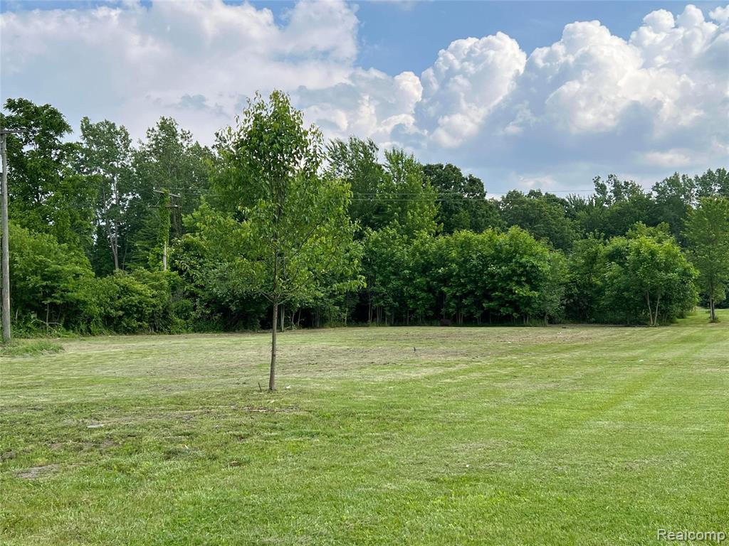 Vacant Land Judd Road New Boston, MI 48164 - Photo 5 of 9