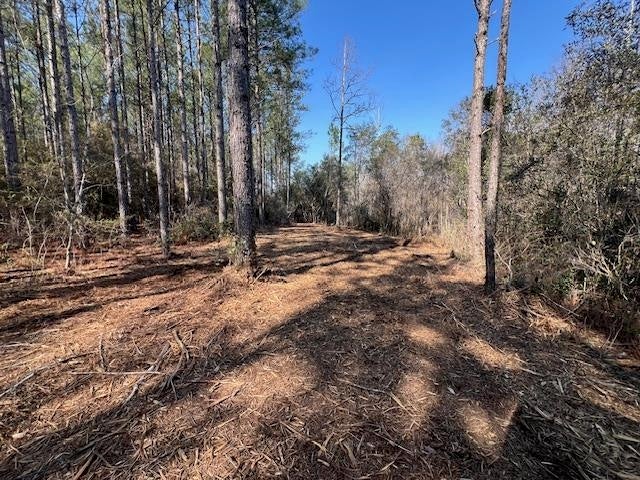 25-ac Smyrna Road Florala, AL 36442 - Photo 5 of 36 Gallery Image 5