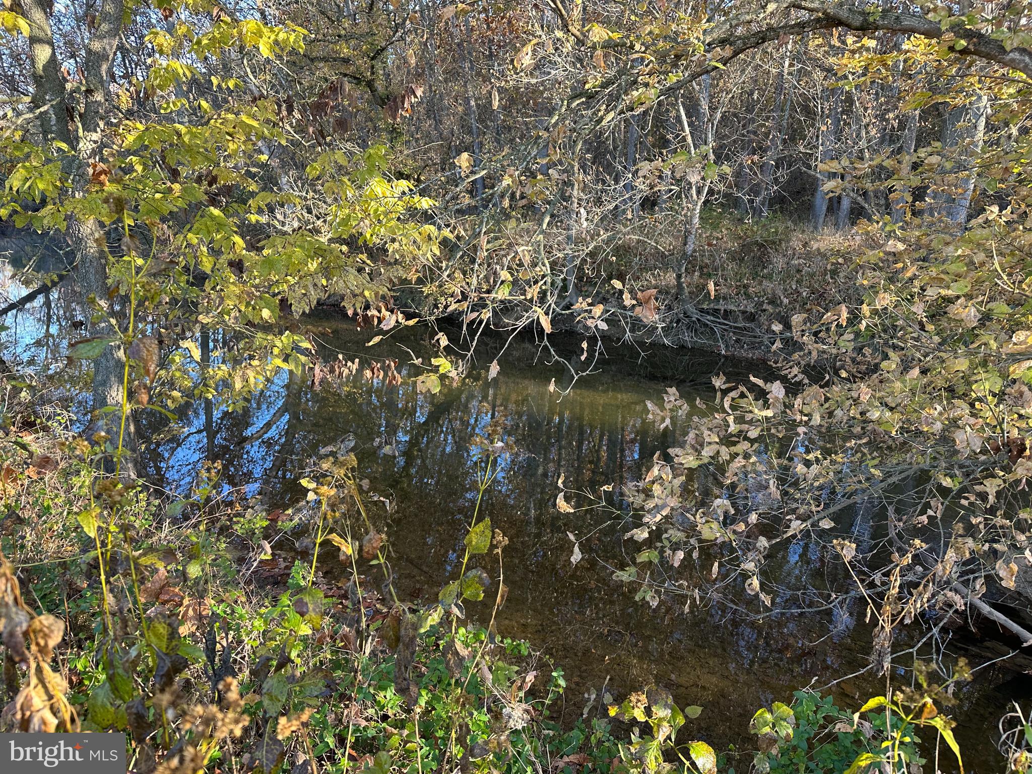 28 Smith Creek Road New Market, VA 22844 - Photo 2 of 2