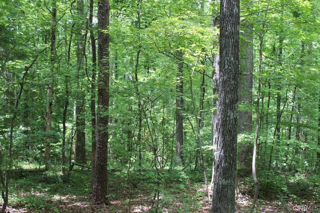 2483 Old Courthouse Road Maidens, VA 23102 - Photo 7 of 21 Gallery Image 7