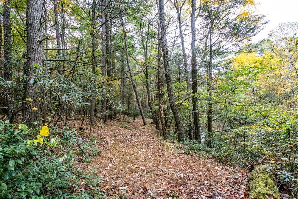 Tbd Briery Branch Road Dayton, VA 22821 - Photo 3 of 6 Gallery Image 3