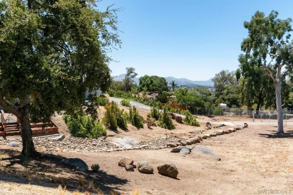 a view of a yard with a tree