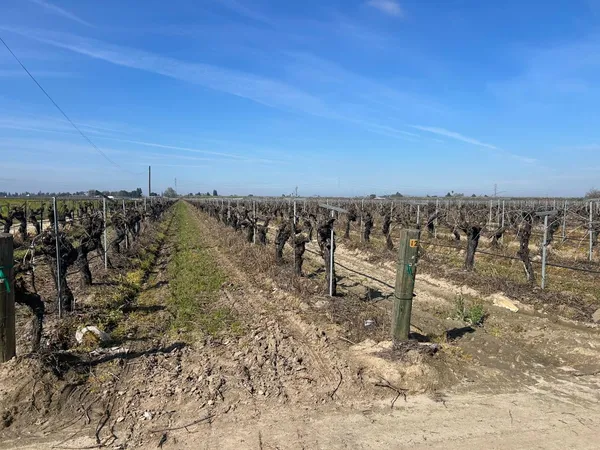 $1,800,000 | 9577 South Del Rey Avenue, Selma, CA 93662