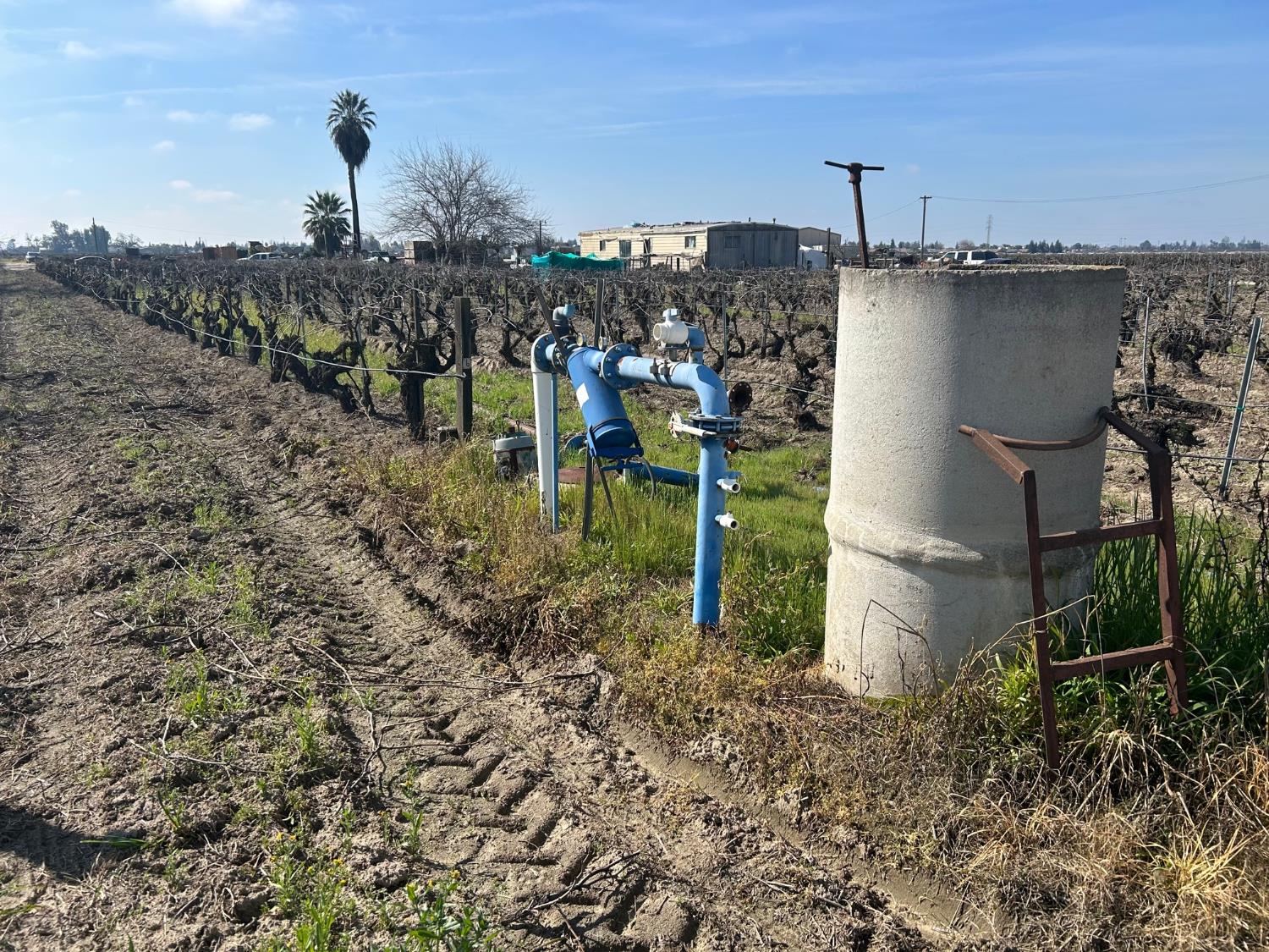 9577 South Del Rey Avenue Selma, CA 93662 - Photo 11 of 12 a view of a garden