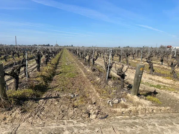 $1,800,000 | 9577 South Del Rey Avenue, Selma, CA 93662